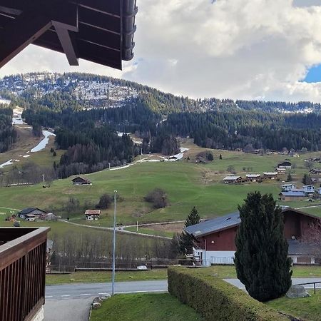 Appartement 1 Chambre Avec Garage Praz-sur-Arly Esterno foto
